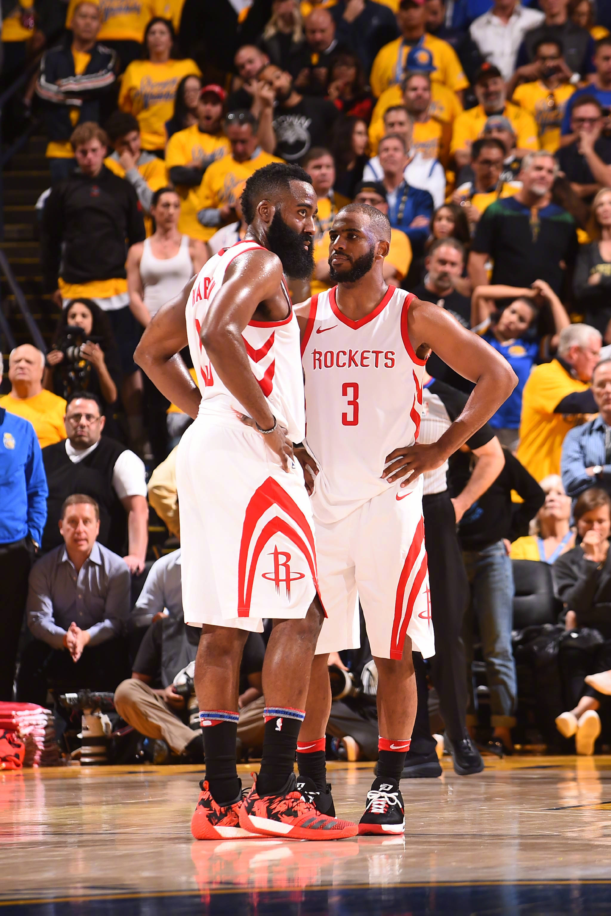 以及一个新 以及一个新